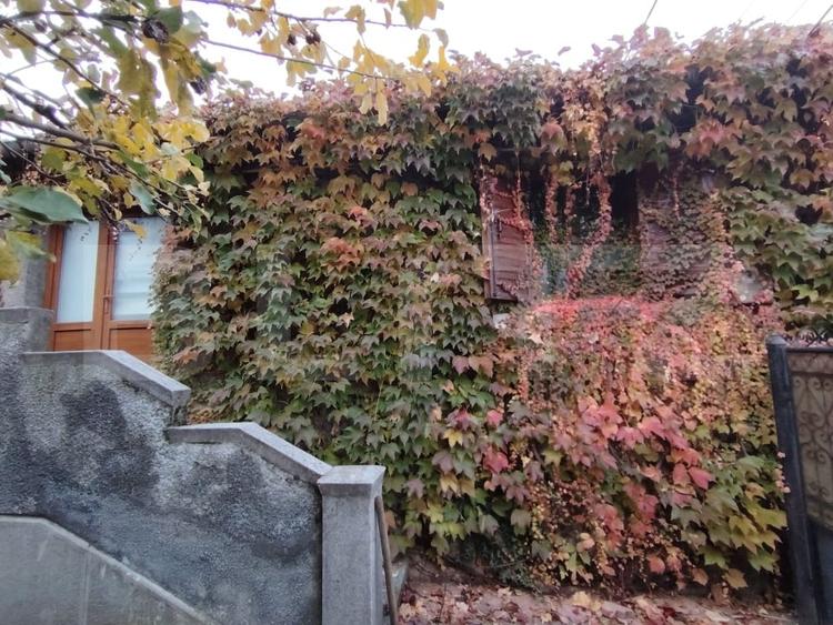Proprietate in zona Parcului Romanescu, casa batraneasca si teren de 347 mp - 2