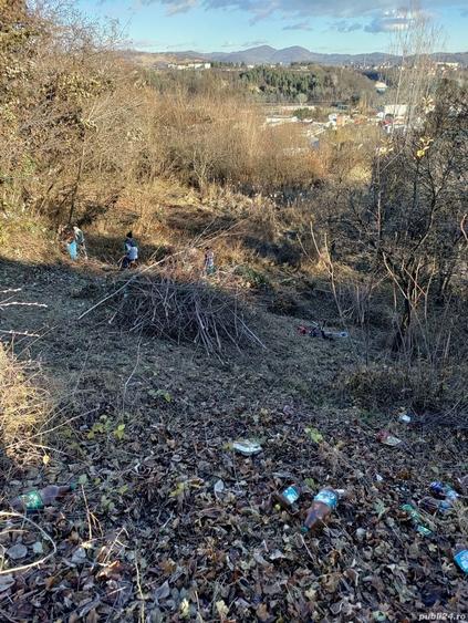 Teren de 4200 mp, în Poiana