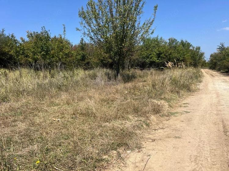 Teren de 5744 mp, în Moșoaia