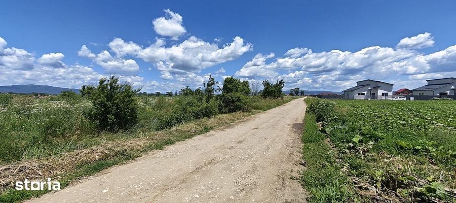 Negociabil! Teren de casa in Halchiu - Bra?ov. - 7