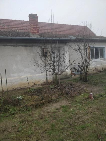 Casă cu Teren 1437 Mp în Central