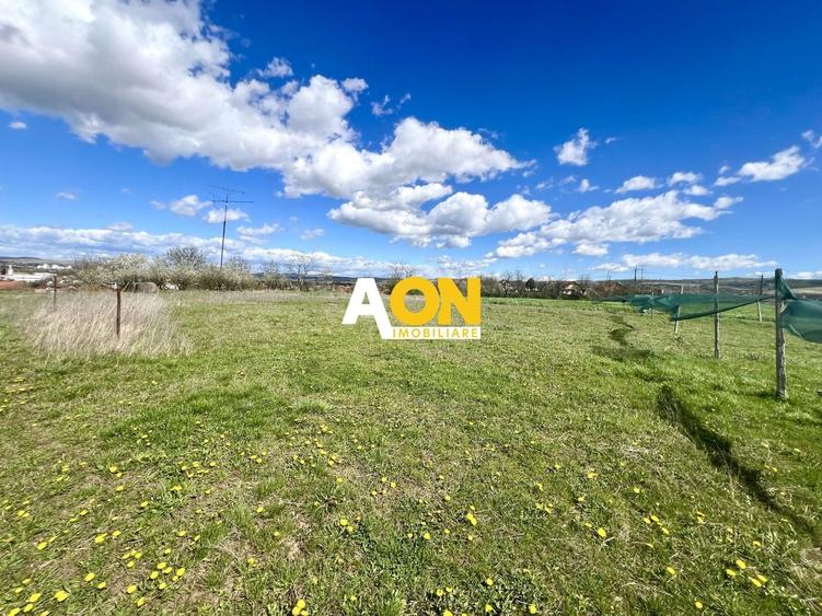 Teren Construcții intravilan de 560 mp, în Oarda