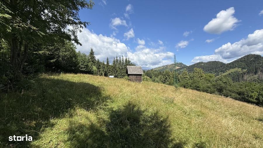 Spațiu comercial, în Pojorâta