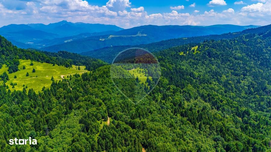 Teren de 7000 mp, în Gârcini