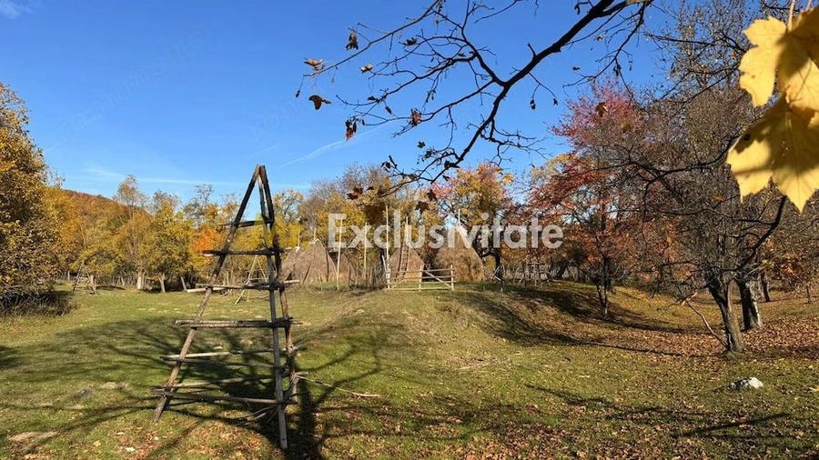 Teren de 7500 mp, în Sălătrucu