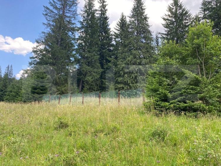 Teren Construcții intravilan de 9975 mp, în Predeal