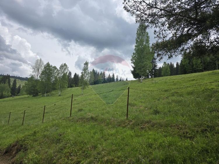 Teren agricol extravilan de 5034 mp, în Iacobeni