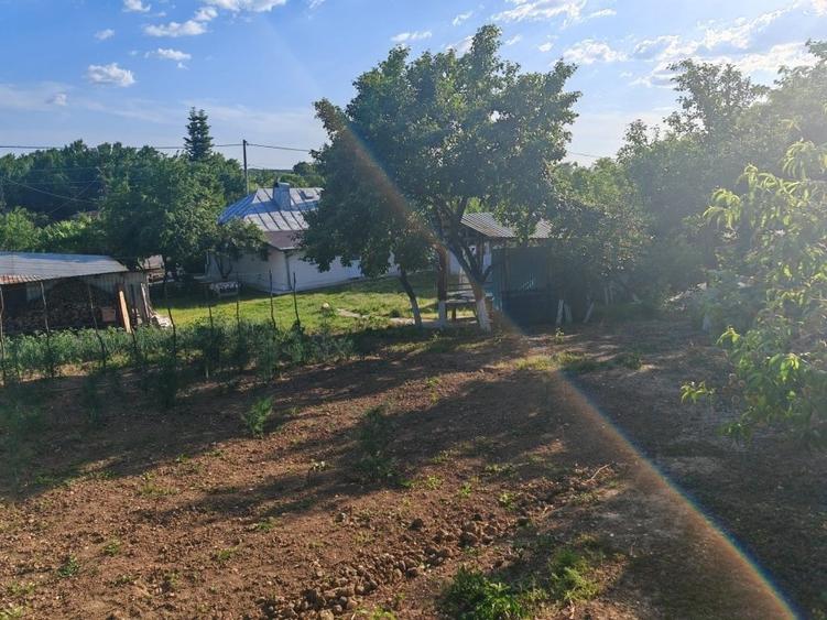 Casă cu 4 camere cu Teren 3000 Mp în Central