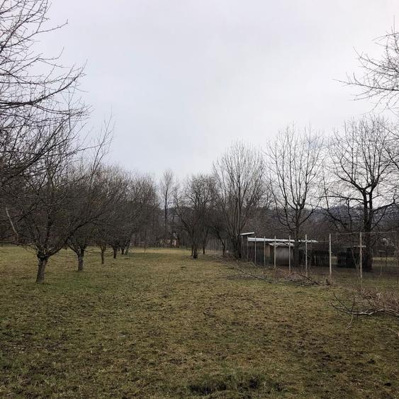 Teren Construcții intravilan de 6000 mp, în Central