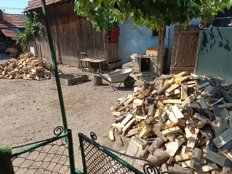 Casă cu 4 camere în Dipșa