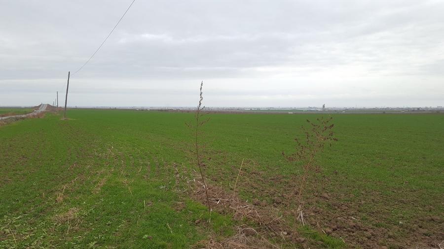 Teren extravilan de 50000 mp, în Periferie