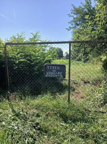 Teren de 1000 mp, în Central
