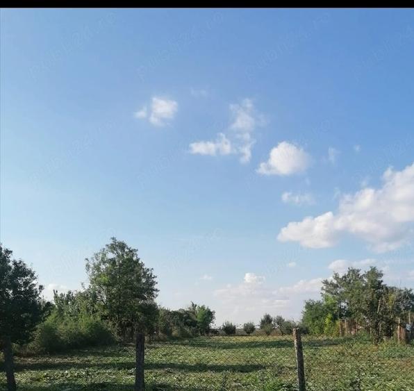 Teren de 1500 mp, în Păltinișu