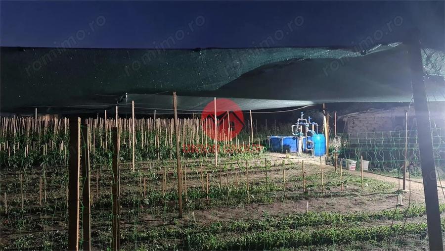Casă cu Teren 1711 Mp în Topraisar