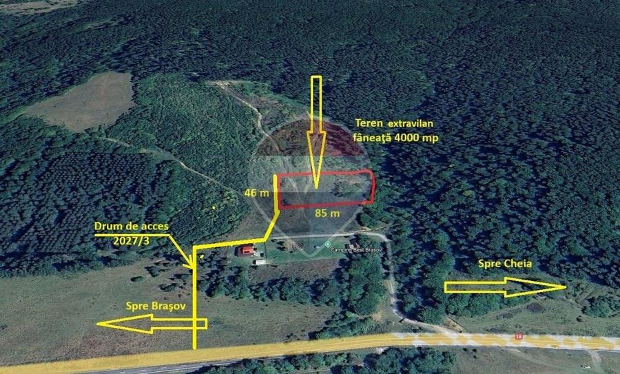 Teren Construcții extravilan de 4000 mp, în Babarunca