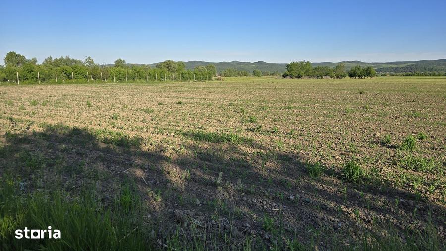Teren de 2900 mp, în Ciceu-Mihăiești
