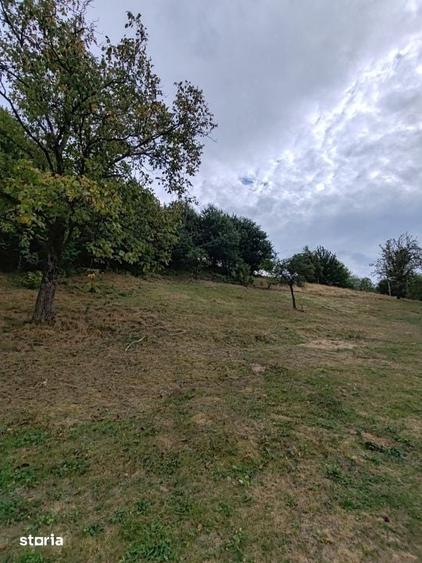 Teren de vanzare, 64 ari, zona Ulmoasa - 3