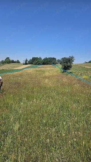 Casă cu Teren 8000 Mp în Zece Hotare
