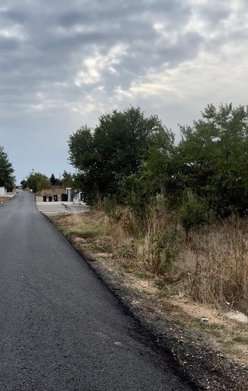 Teren Construcții intravilan de 5000 mp, în Ciofliceni