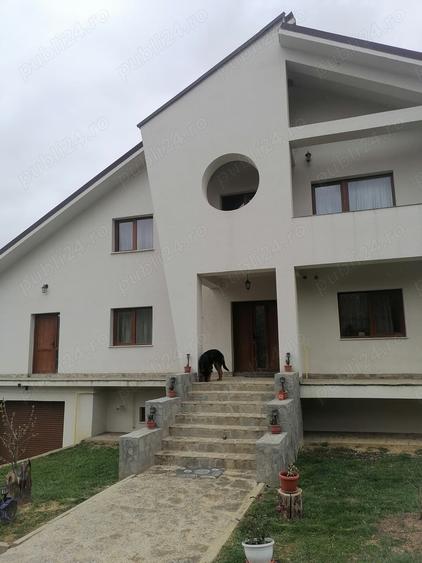 Casă cu Teren 1000 Mp în Bucium