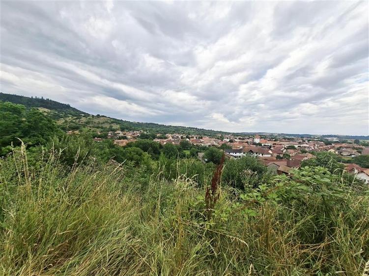 Teren Construcții intravilan de 1355 mp, în Periferie