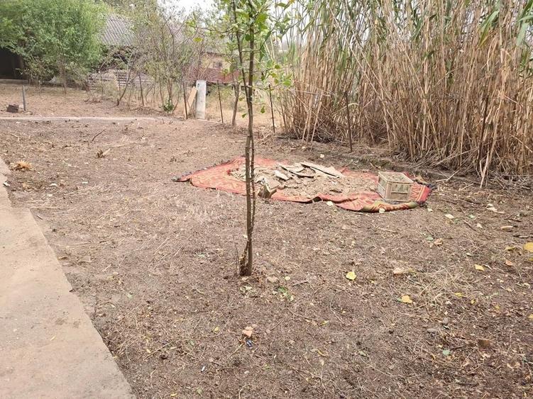 Casa de vanzare in Suhaia, jude?ul Teleorman 2.560 mp teren - 2