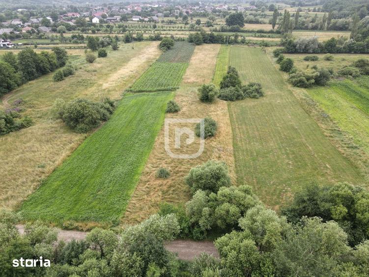 Teren de 3600 mp, în Brusturi