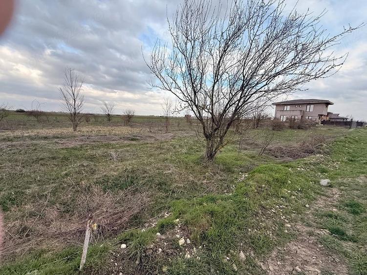 Teren intravilan de vanzare Domne?ti, sat ?eghe? | 652 mp | Ideal dezvoltare reziden?iala - 1