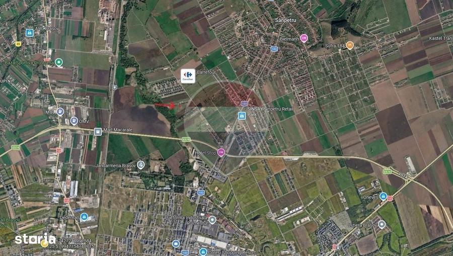 Teren 799mp Sanpetru / Strada drumul cu plopi - 4