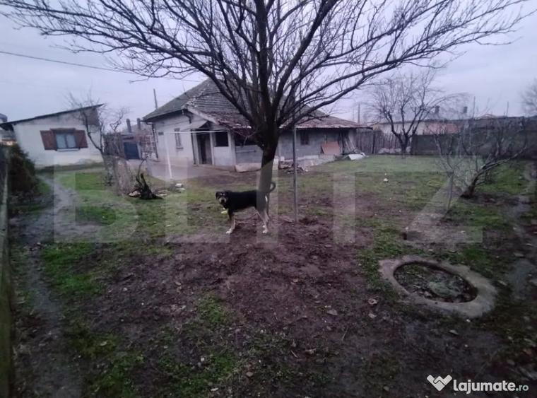 Casă cu 4 camere cu Teren 516 Mp în Romanești