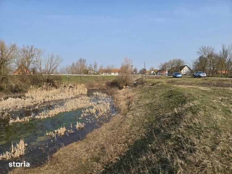 Teren de 30600 mp, în Sacoșu Turcesc