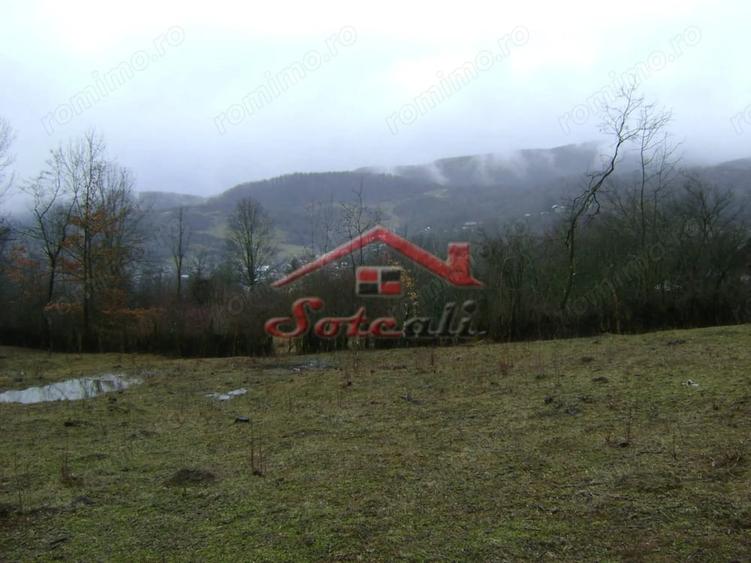 Teren de 2656 mp, în Drăgăneasa
