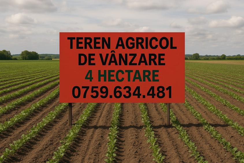Teren agricol extravilan de 4 mp, în Satu Nou