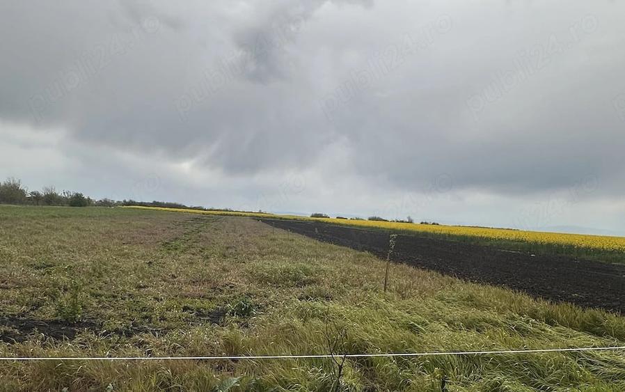 Teren de 2472 mp, în Sălciile