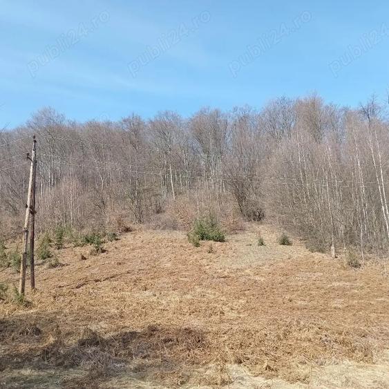Teren de 10000 mp, în Luncșoara