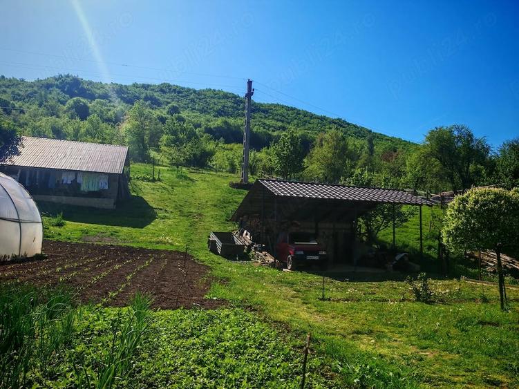 Casă cu Teren 3000 Mp în Ponoarele