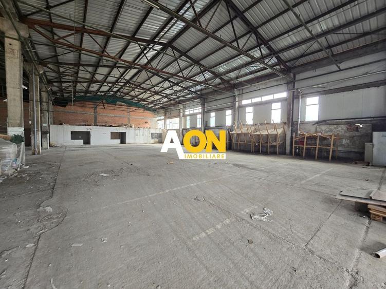 Spațiu industrial, de 900 mp, în Bărăbanț
