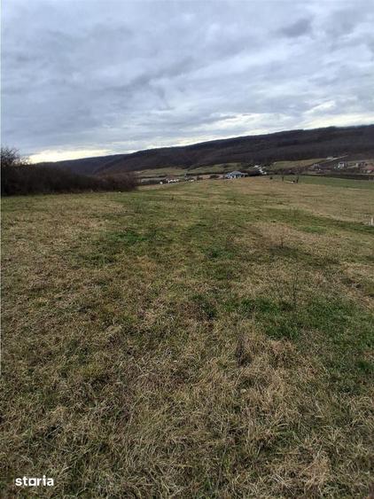 RECO Teren intravilan dublu front stradal- Betfia - 4