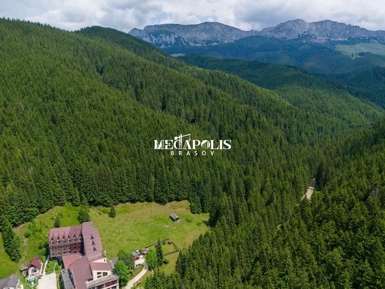Teren Construcții intravilan de 12307 mp, în Moieciu de Sus