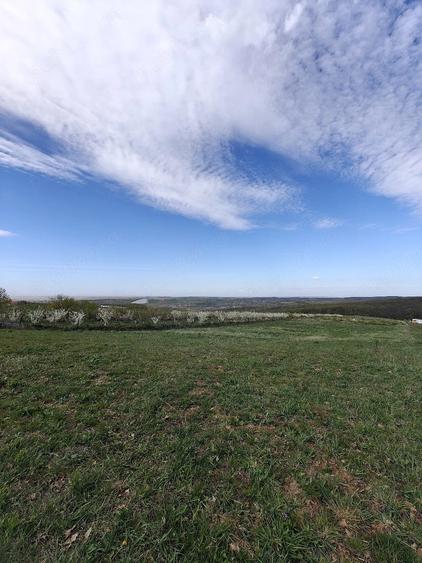 Teren de 3000 mp, în Săldăbagiu de Munte
