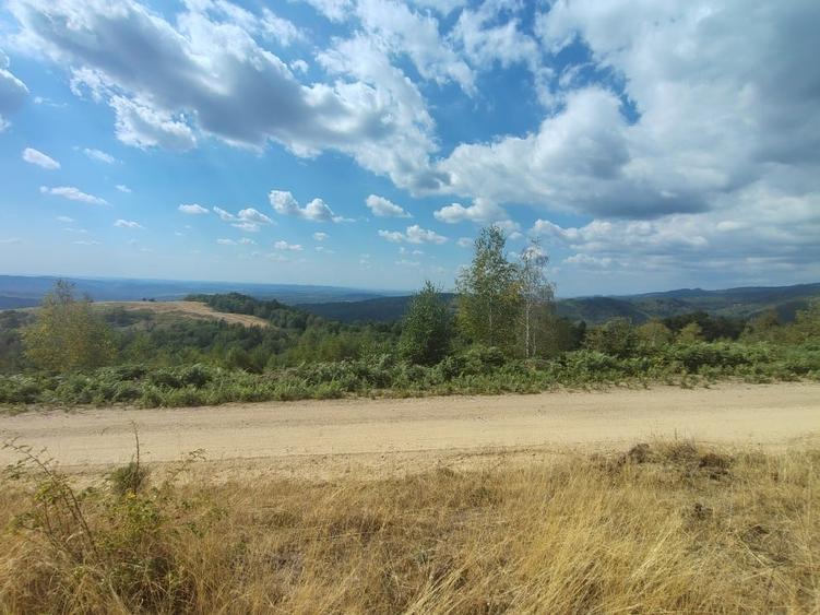 Teren Construcții extravilan de 8000 mp, în Central