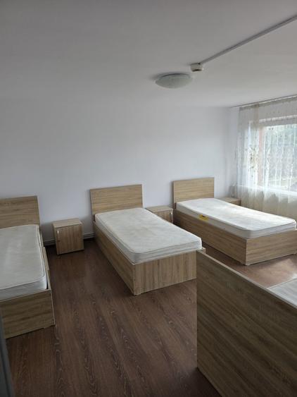 Casă cu 4 camere cu Teren 3000 Mp în Cârciumărești