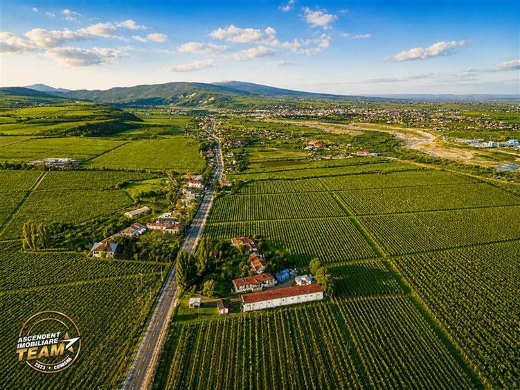 Teren Construcții intravilan de 4000 mp, în Vârteșcoiu