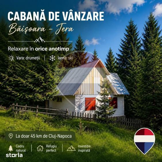 Cabana de vanzare in Muntele Bai?orii Zona Jera - 8