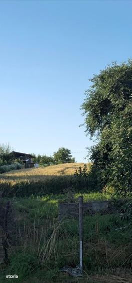 Casa locuibila + 26 ari teren la sosea/Zona excelenta,curte si gradina - 6