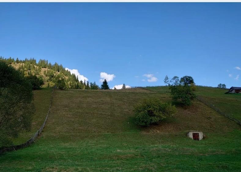 Teren Construcții intravilan de 1724 mp, în Ortoaia