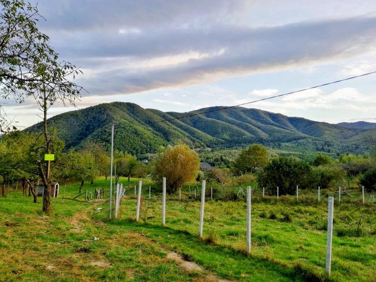 URGENT - Teren intravilan 916 mp in Cisnadioara 79.996,00 EUR cu plata in rate - 6