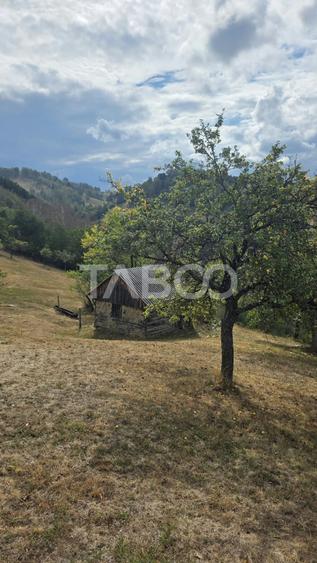 Teren Construcții intravilan de 8300 mp, în Pleși