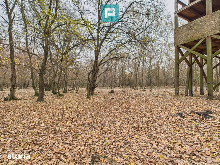Teren de 5000 mp, în Periam
