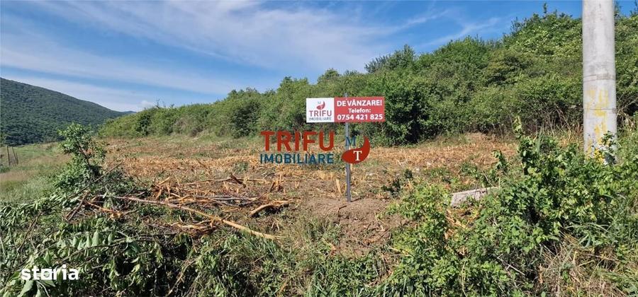 Spațiu comercial, în Șard